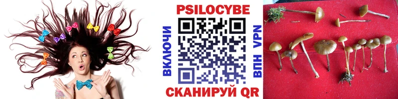 Псилоцибиновые грибы GOLDEN TEACHER  закладка  Покачи 